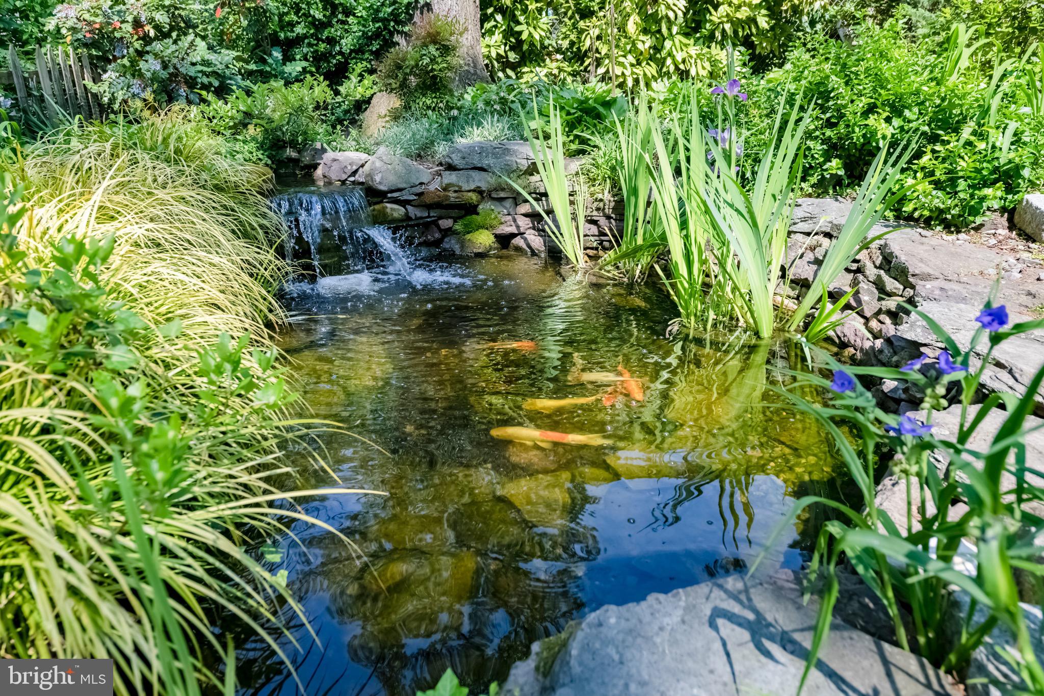 15 Sunnyside Road Silver Spring, MD 20910 - Photo 32 of 38 Year-round koi pond with waterfall