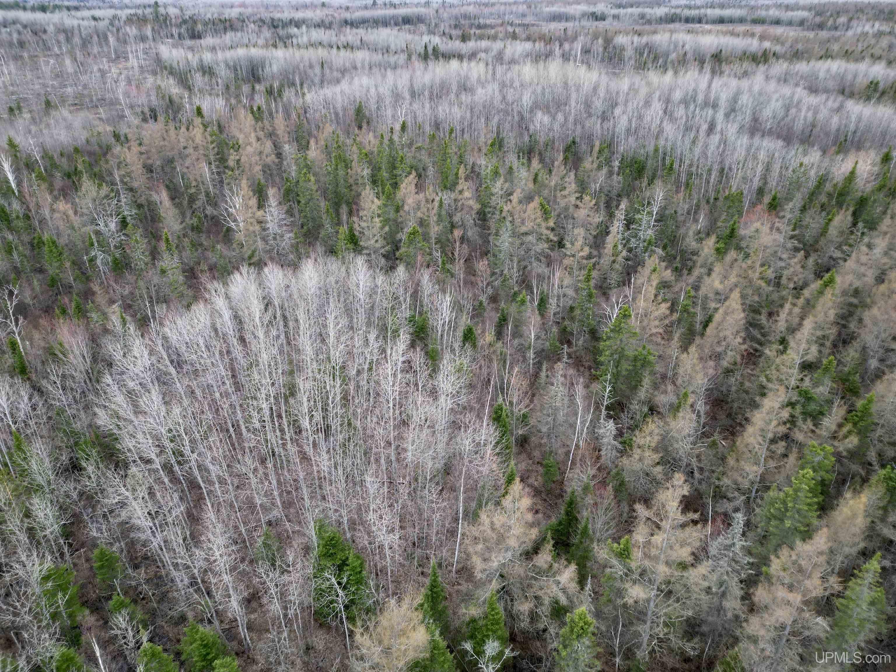 80 North Rd Rock Mi 49880 Road Rock, MI 49880 - Photo 11 of 12