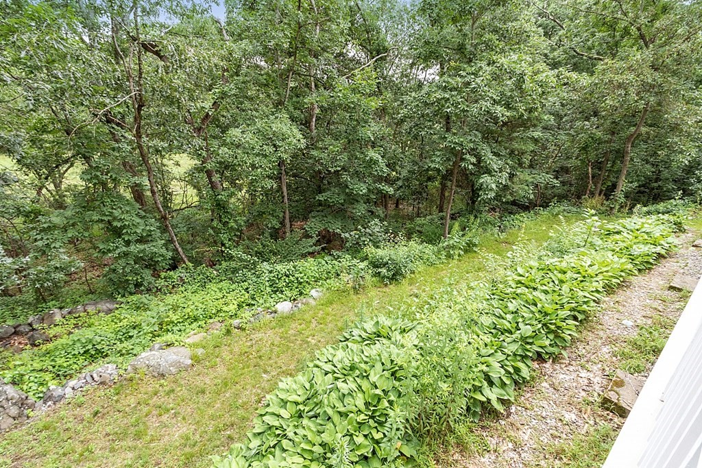 2 Sunset Ridge Lexington, MA 02421 - Photo 6 of 39 a view of a lush green forest