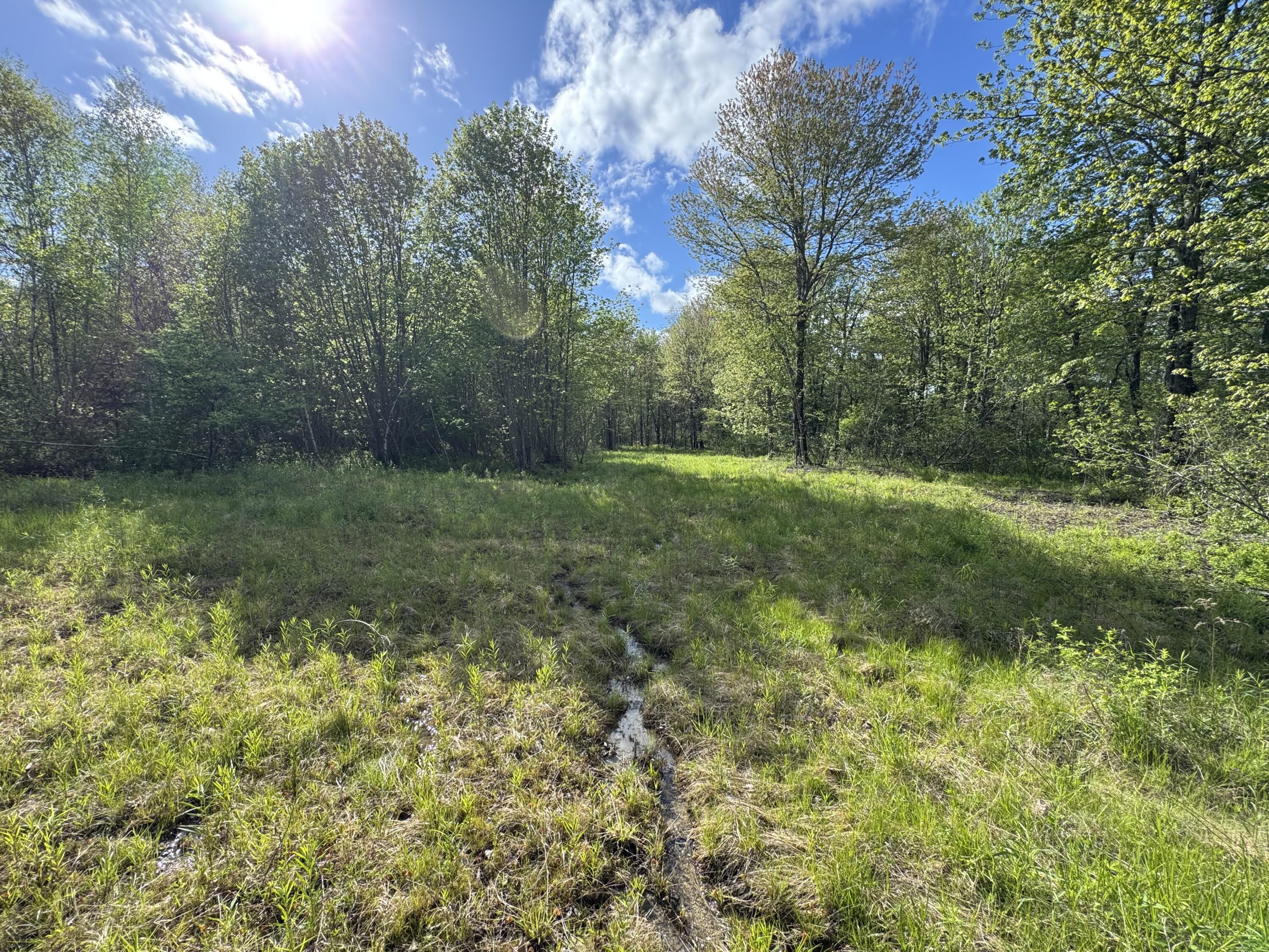 Map8-lot19g Jefferson Road Washington, ME 04574 - Photo 6 of 11 IMG_3322