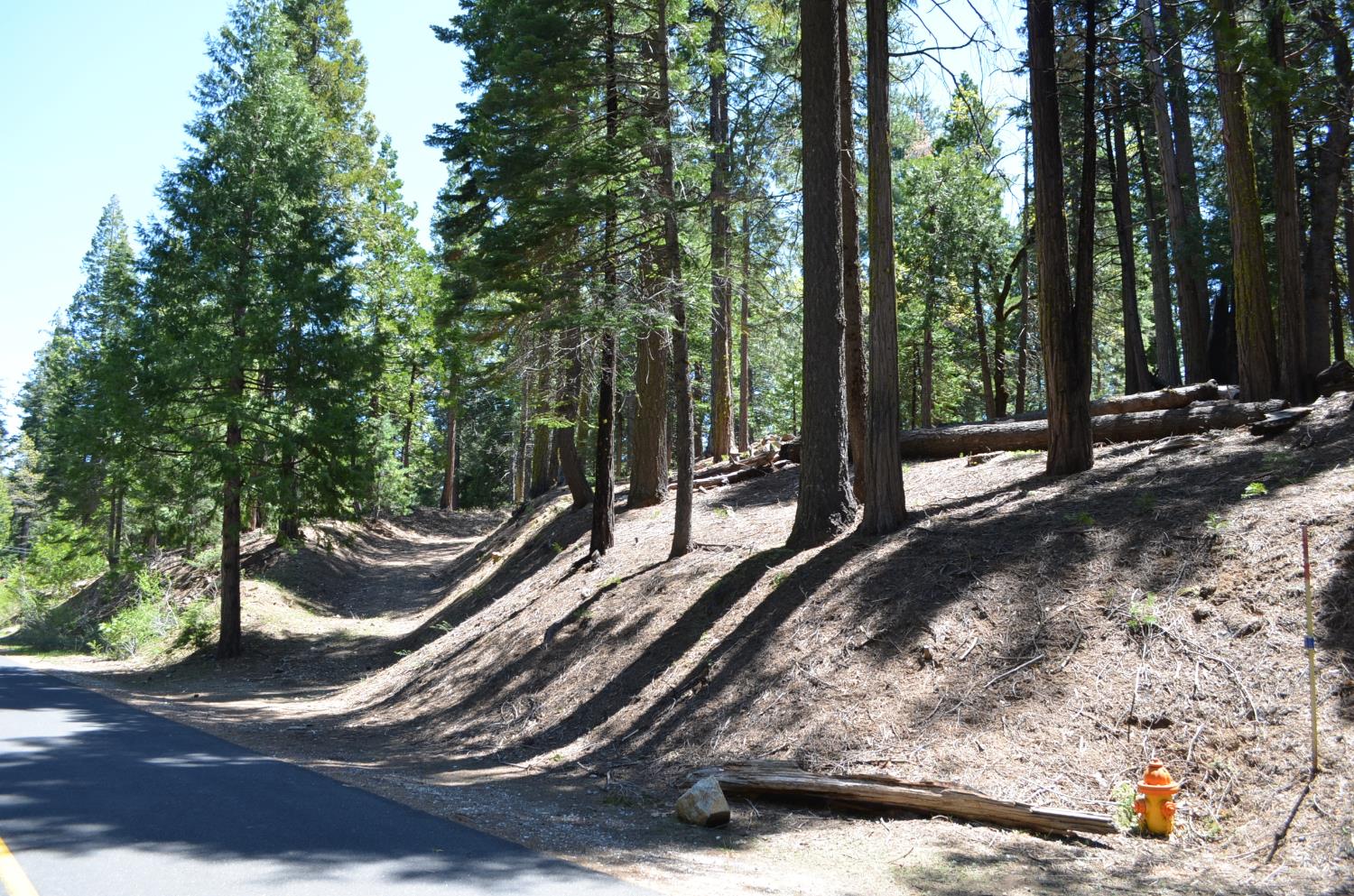 3112 Apache Road Arnold, CA 95223 - Photo 10 of 25 a view of a park with large trees