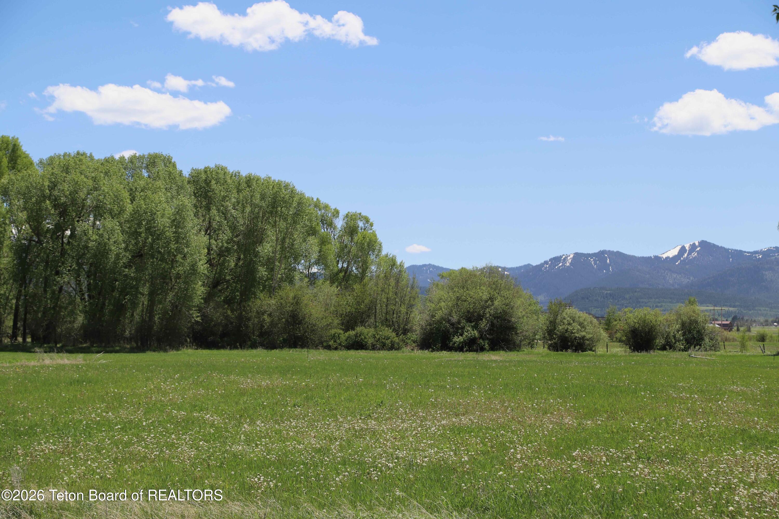 1234 Dairy Court Victor, ID 83455 - Photo 10 of 14 Summers 2-7800