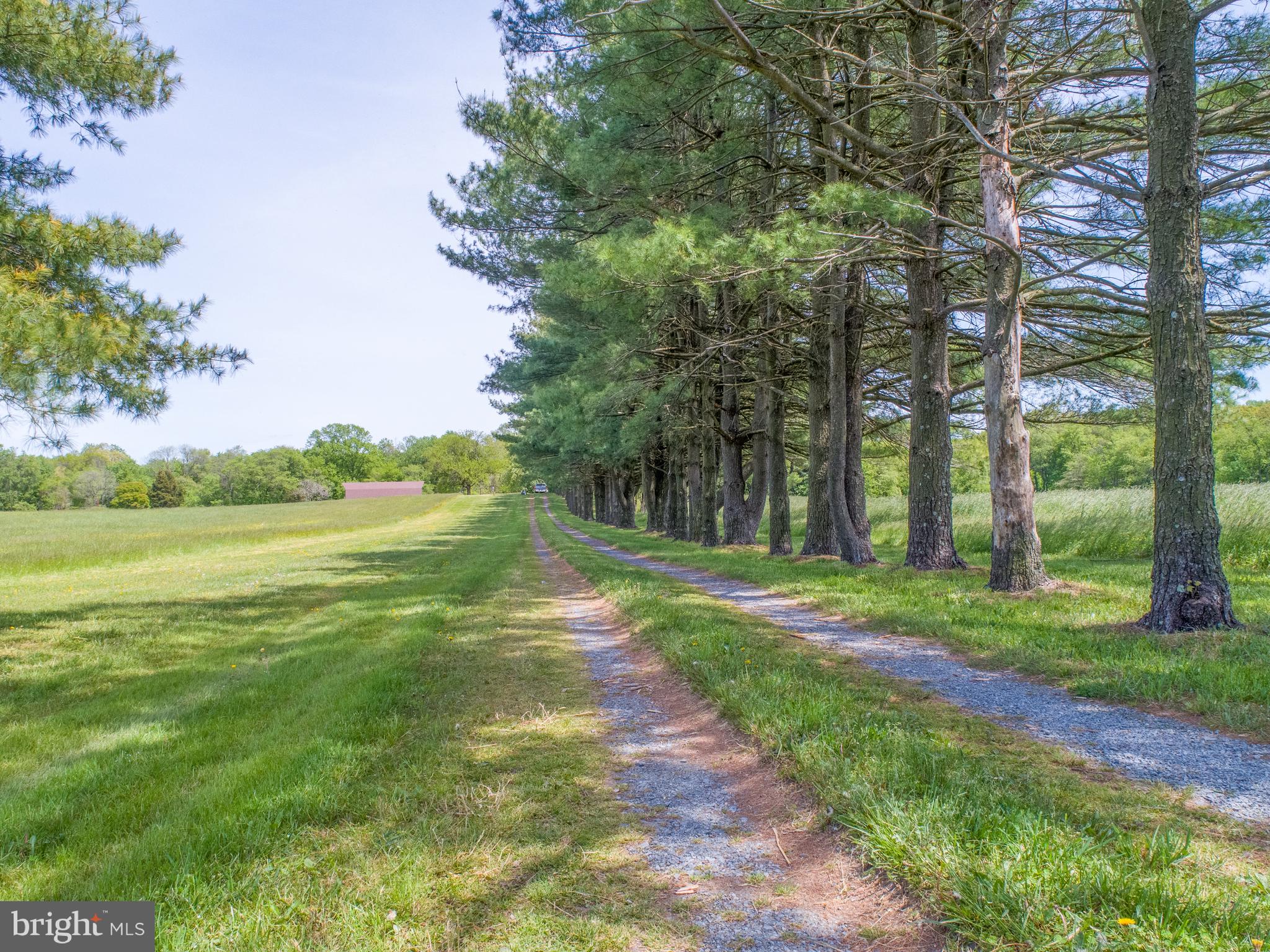 132 Union Church Road Elkton, MD 21921 - Photo 2 of 41 a view of a park with large trees and a big yard