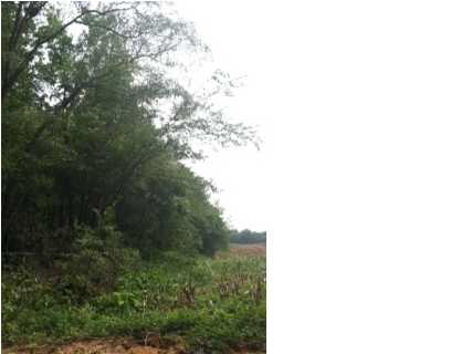 10255 North North Line Road Dale, IN 47523 - Photo 2 of 2