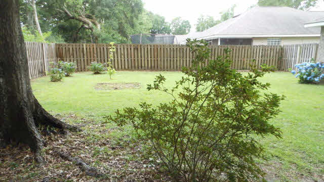 7226 Raintree Lane Gulf Shores, AL 36542 - Photo 8 of 14 Large Back Yard