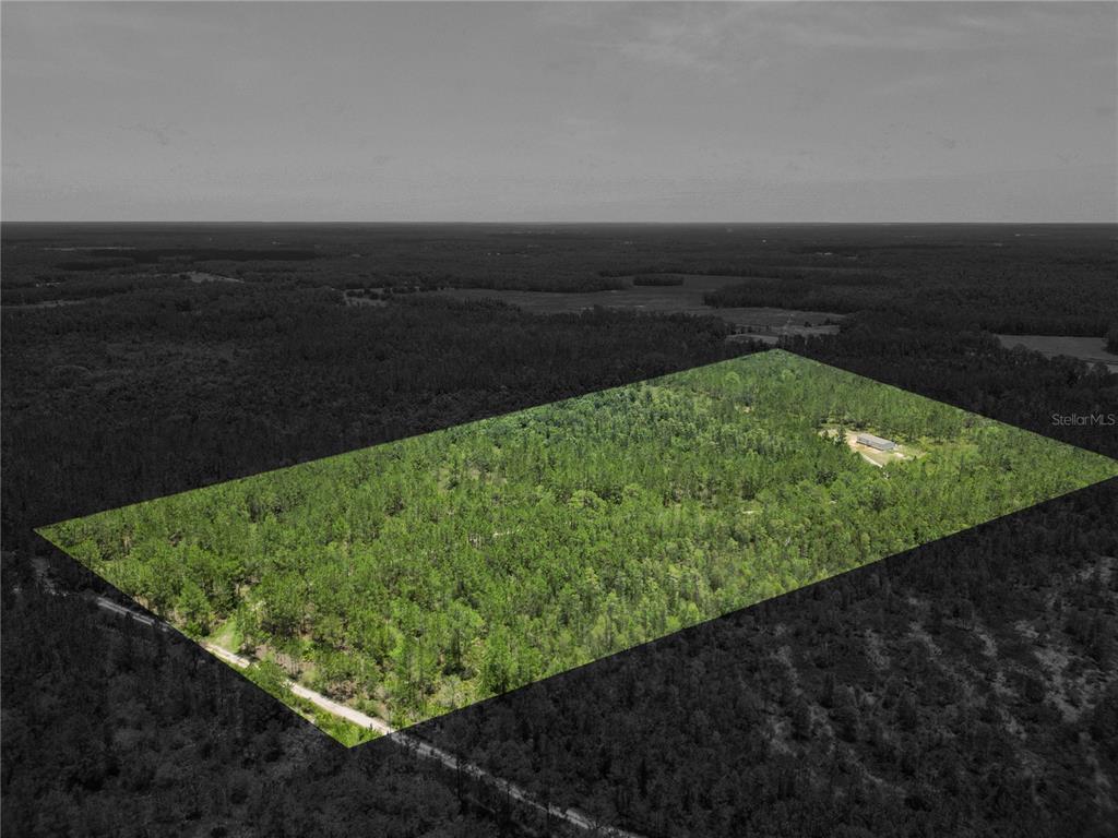 3450 Salyers Road Clermont, FL 34714 - Photo 43 of 50