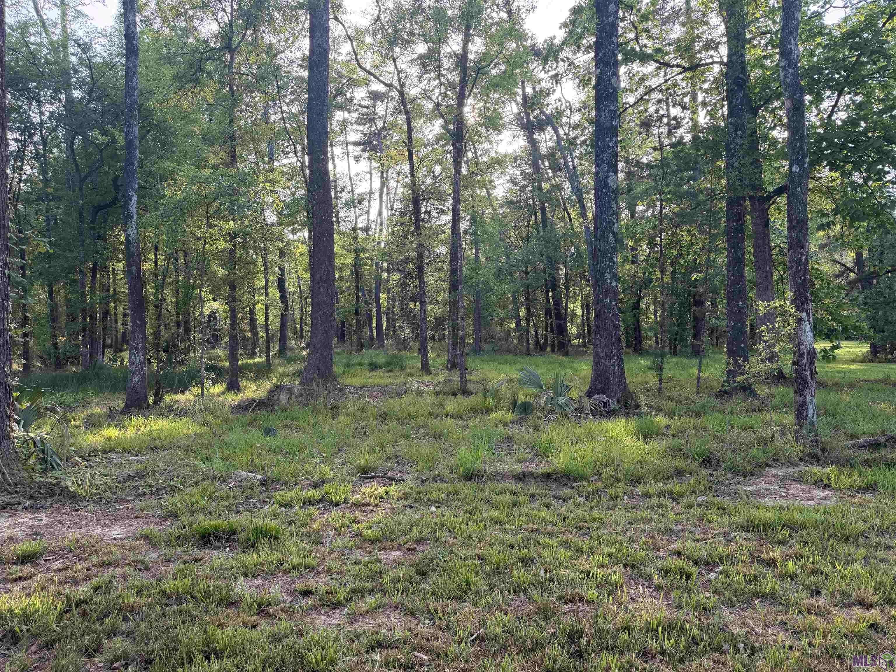 1-b-2-a-4 Clinton Allen Road Denham Springs, LA 70706 - Photo 2 of 5