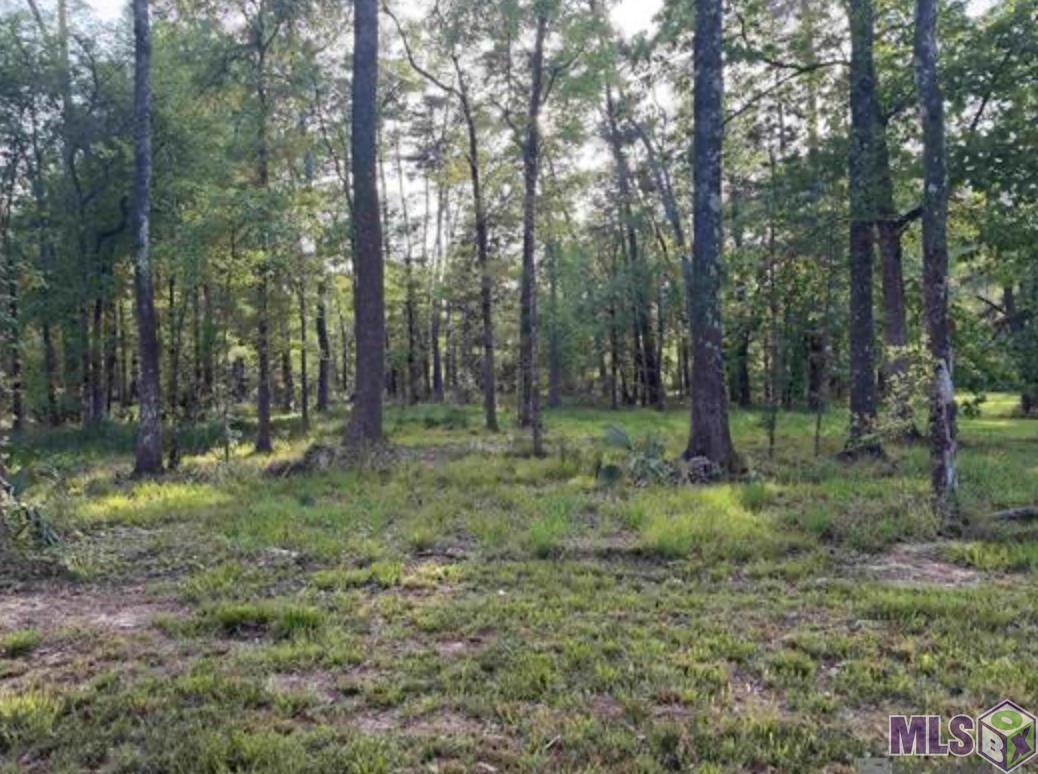 1-b-2-a-4 Clinton Allen Road Denham Springs, LA 70706 - Photo 4 of 5