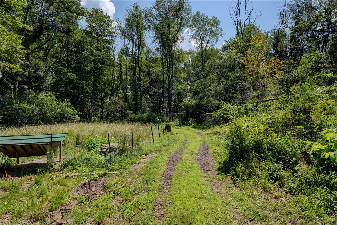 4919 Upper Holley Road Clarendon, NY 14470 - Photo 35 of 50