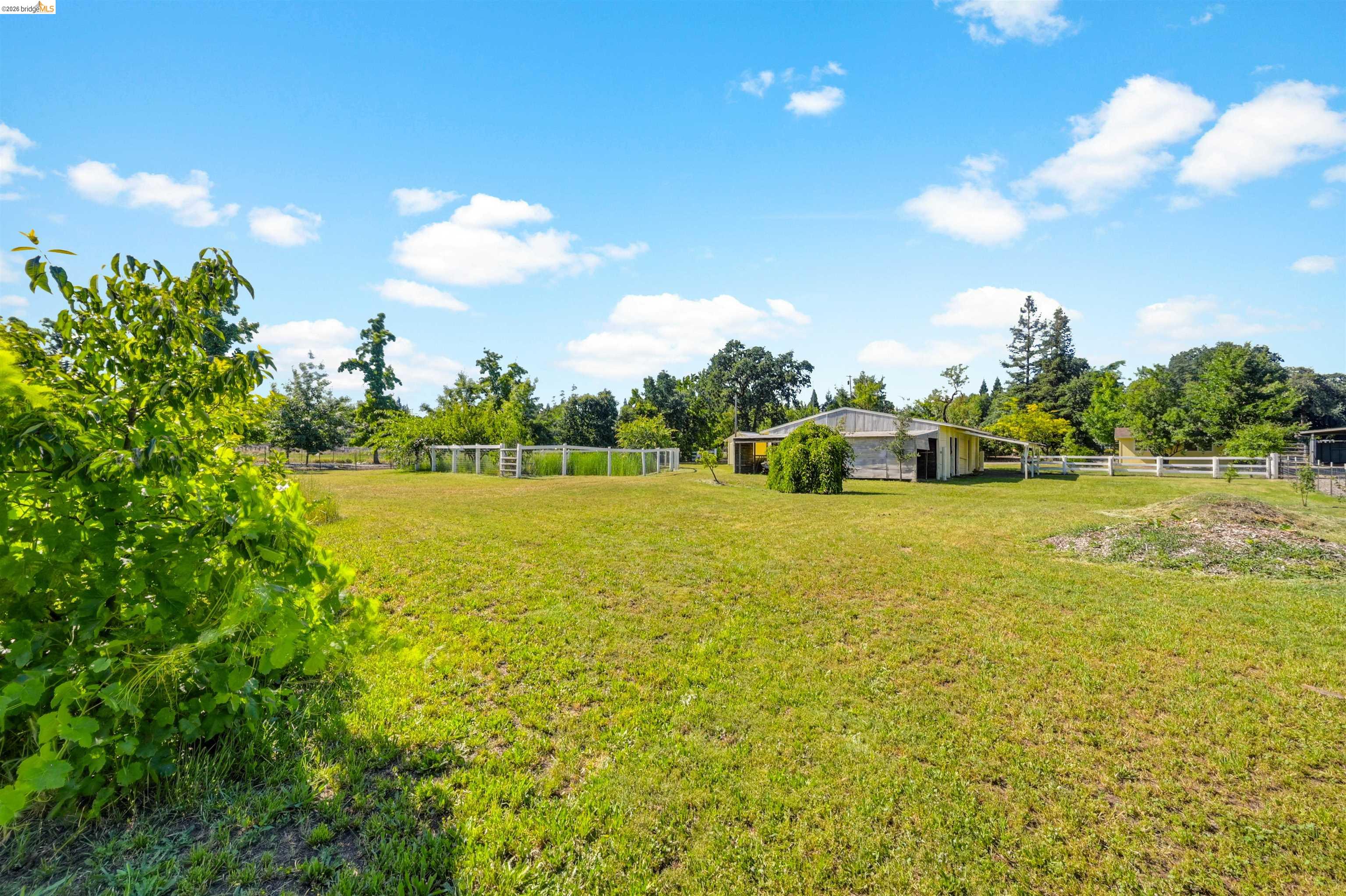 10474 Sheldon Road Elk Grove, CA 95624 - Photo 72 of 83 Expansive grassy field featuring a white post-and-rail fence, mature trees, and a barn structure
