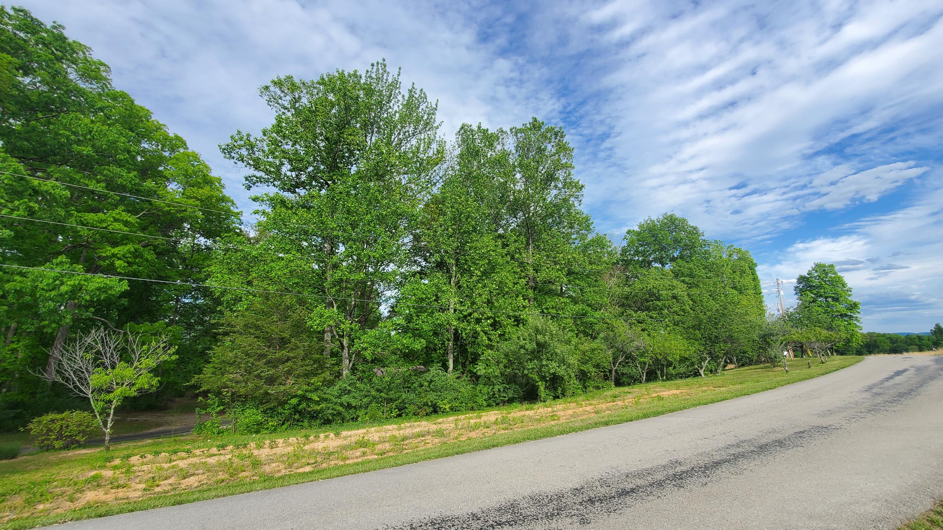 Lot 35-36 Burton Subdivision Road Nancy, KY 42544 - Photo 2 of 14 20230505_175336