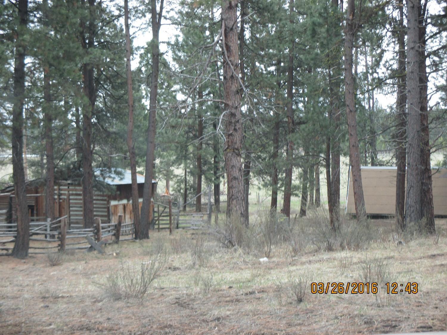 9247 Sprague River Road Chiloquin, OR 97624 - Photo 15 of 30 Additional Photo