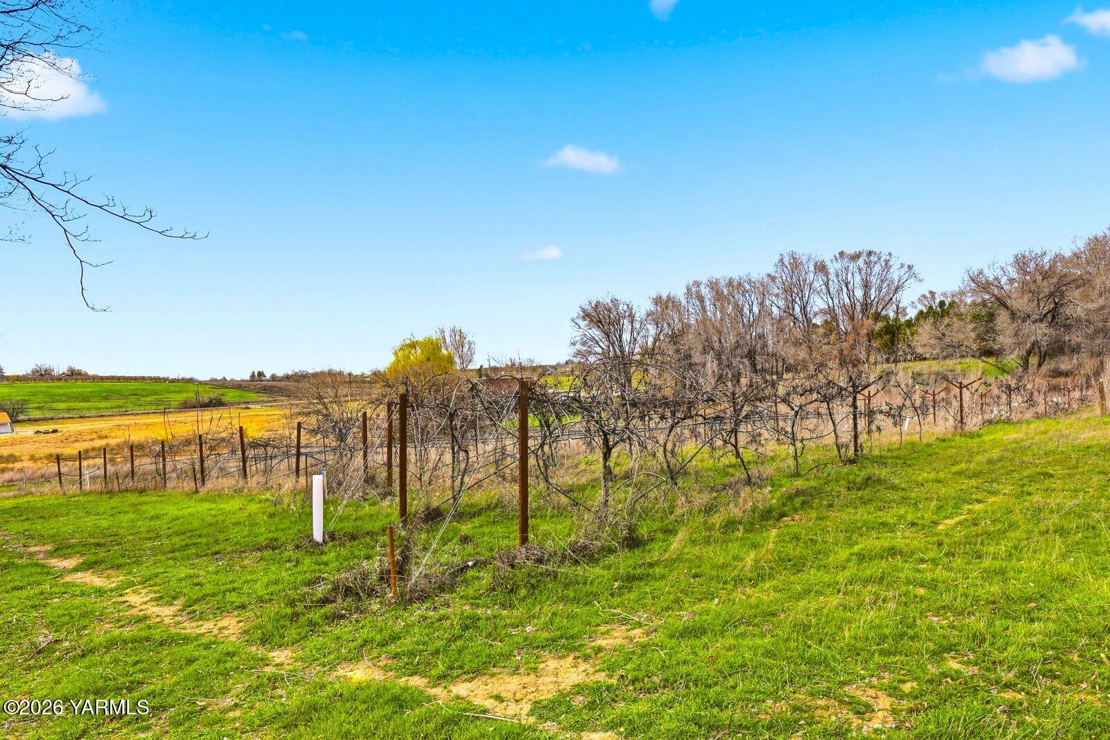 1191 Nelson Road Granger, WA 98932 - Photo 19 of 29 19 Vineyard