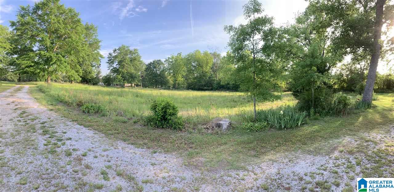 994 County Road 34 Clanton, AL 35045 - Photo 15 of 19