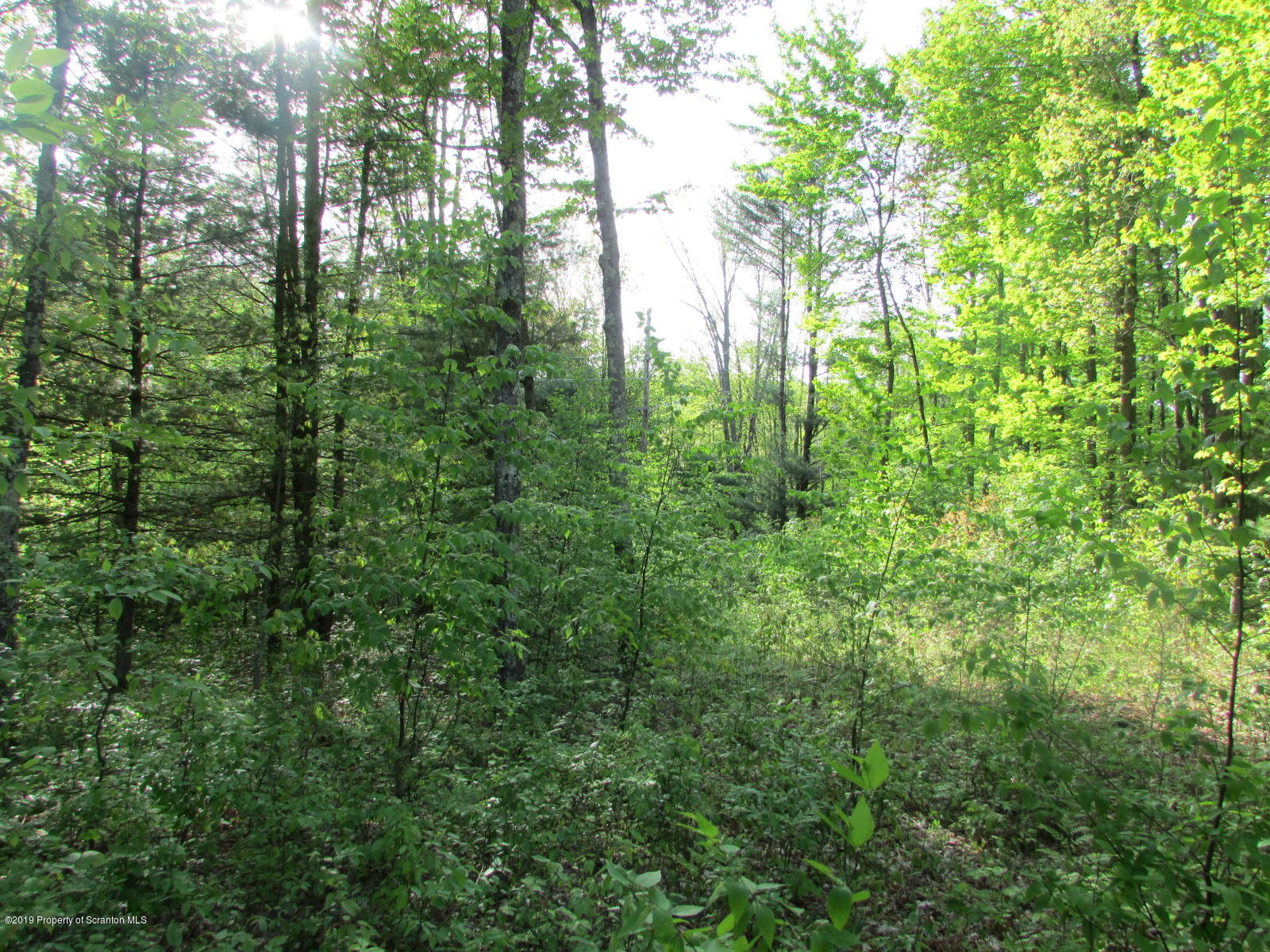 Irish Hill Road Montrose, PA 18801 - Photo 2 of 8 Land
