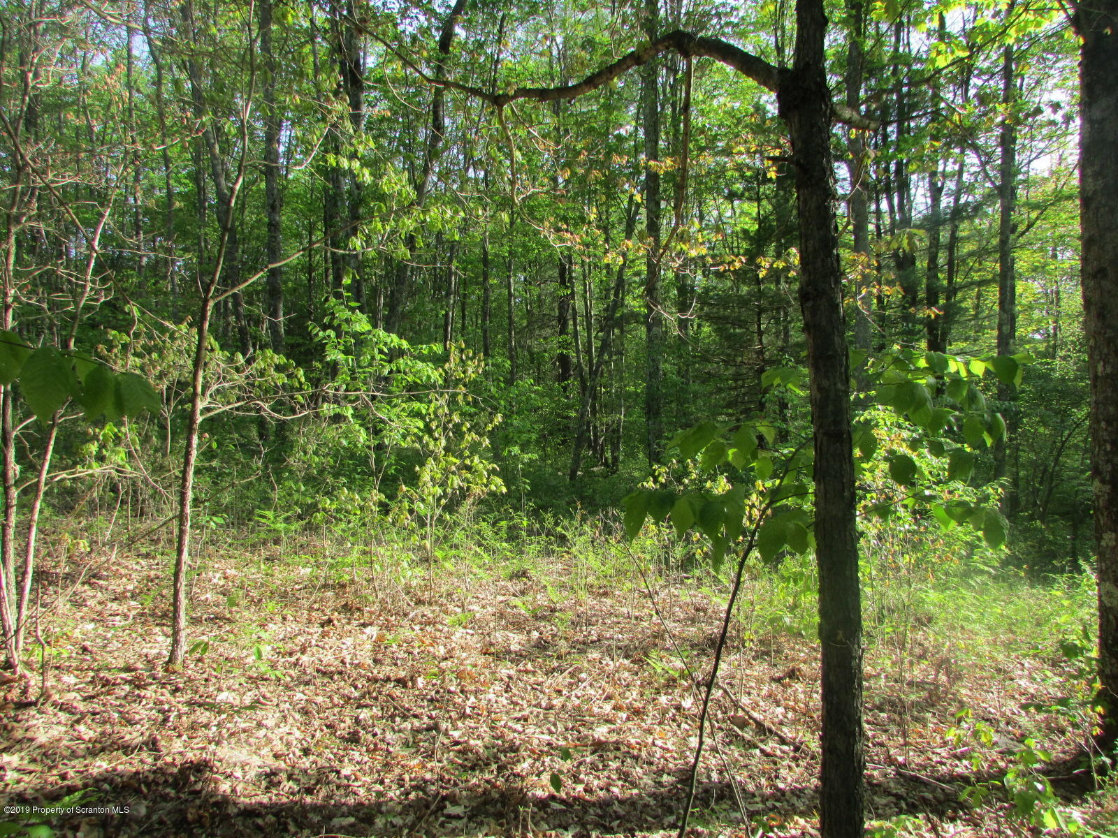 Irish Hill Road Montrose, PA 18801 - Photo 4 of 8 Land