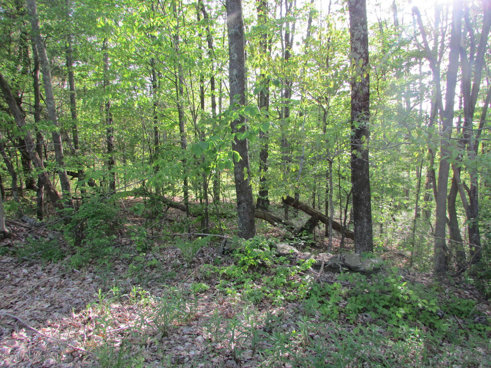 Irish Hill Road Montrose, PA 18801 - Photo 5 of 8 Land