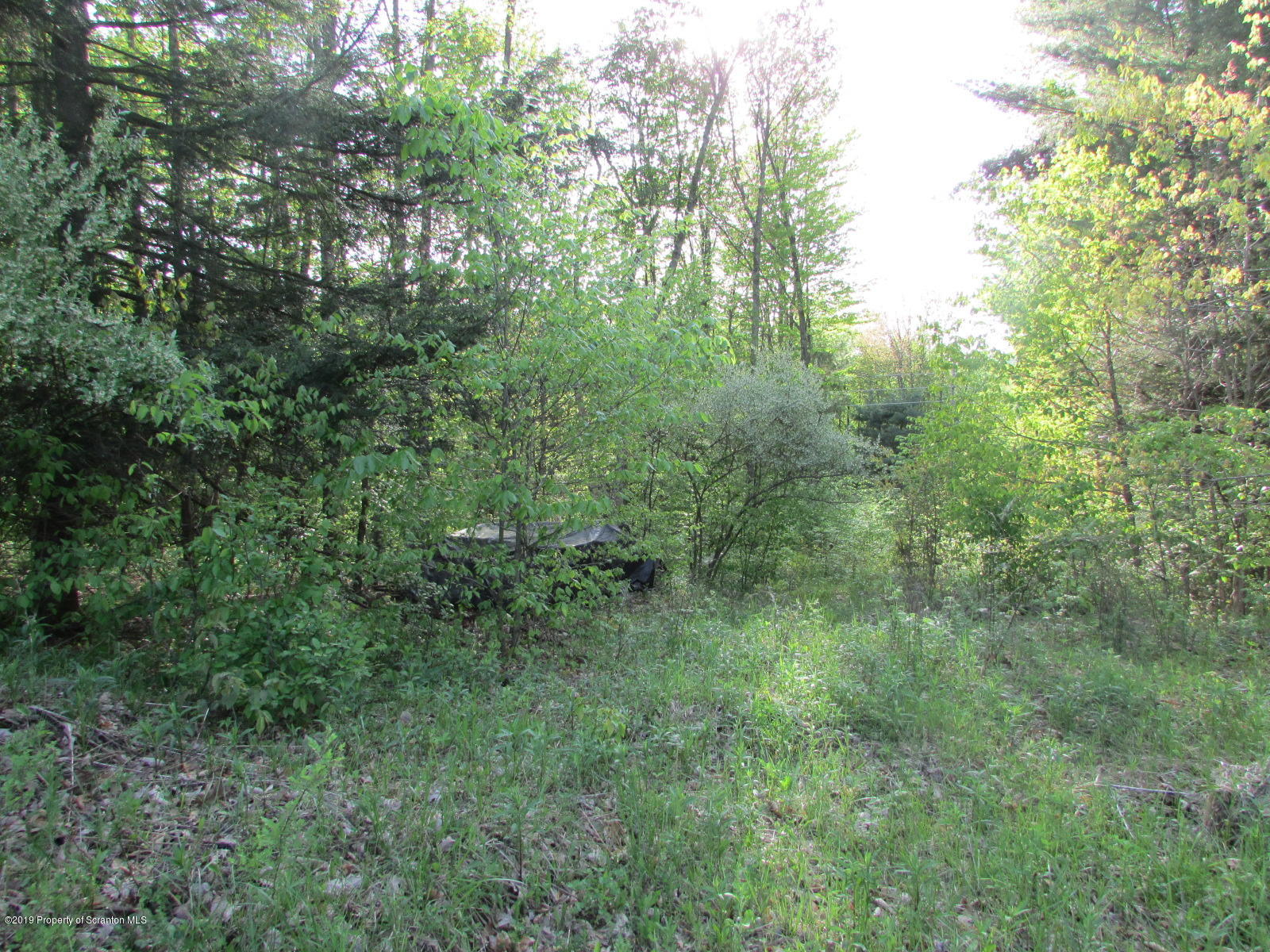 Irish Hill Road Montrose, PA 18801 - Photo 6 of 8 Land