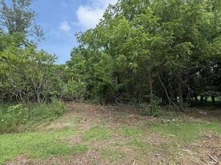 Lot 2 Church Merrimac, WI 53561 - Photo 14 of 27