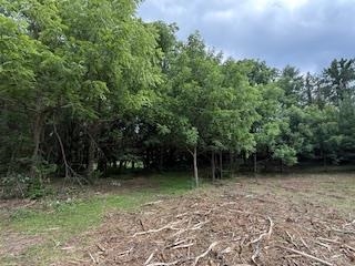 Lot 2 Church Merrimac, WI 53561 - Photo 15 of 27