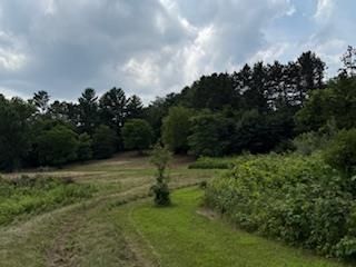 Lot 2 Church Merrimac, WI 53561 - Photo 16 of 27