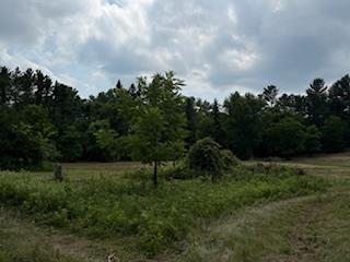 Lot 2 Church Merrimac, WI 53561 - Photo 20 of 27