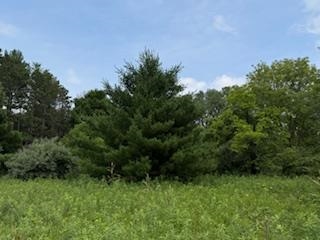 Lot 2 Church Merrimac, WI 53561 - Photo 2 of 27