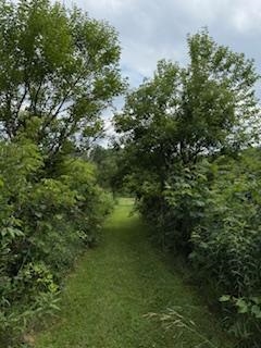 Lot 2 Church Merrimac, WI 53561 - Photo 23 of 27