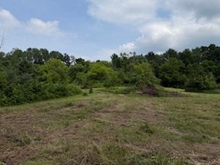 Lot 2 Church Merrimac, WI 53561 - Photo 26 of 27
