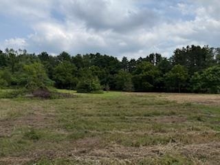 Lot 2 Church Merrimac, WI 53561 - Photo 27 of 27