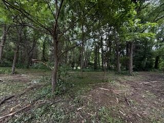 Lot 2 Church Merrimac, WI 53561 - Photo 3 of 27