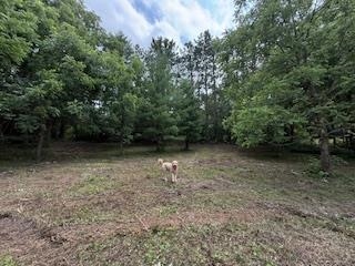 Lot 2 Church Merrimac, WI 53561 - Photo 4 of 27