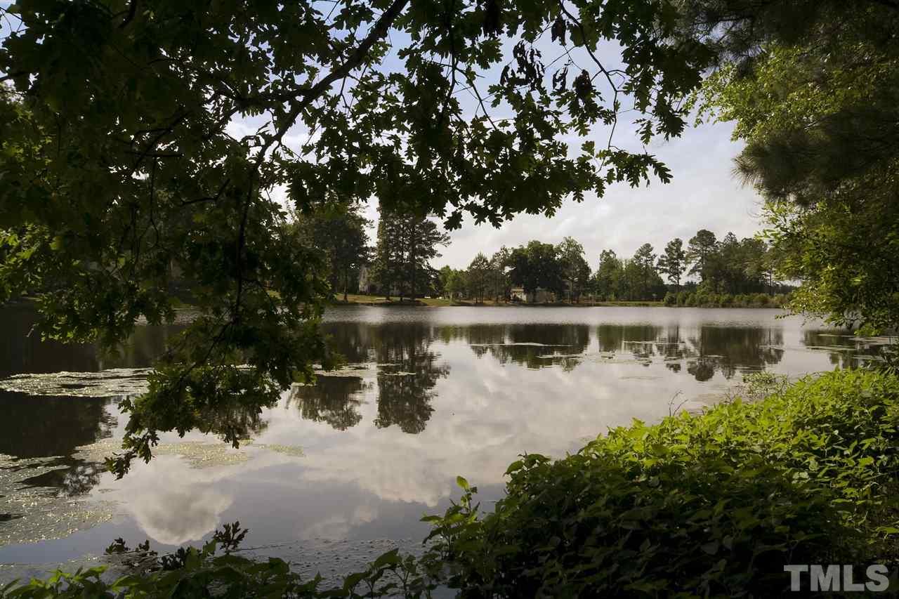 175 Solheim Lane Raleigh, NC 27603 - Photo 23 of 26 a body of water with a tree in the background