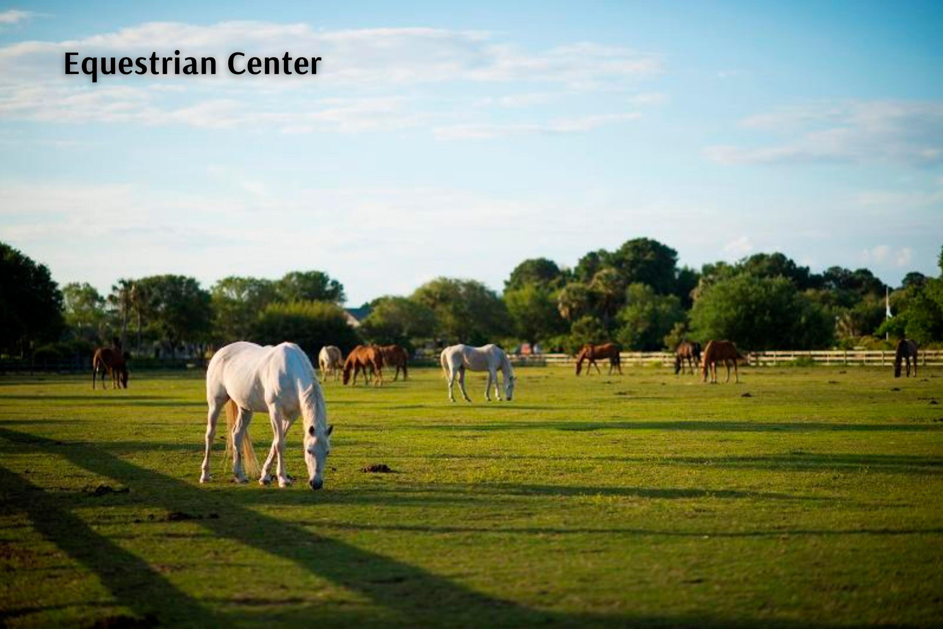 2909 Seabrook Island Road Seabrook Island, SC 29455 - Photo 65 of 68 Equestrian Center