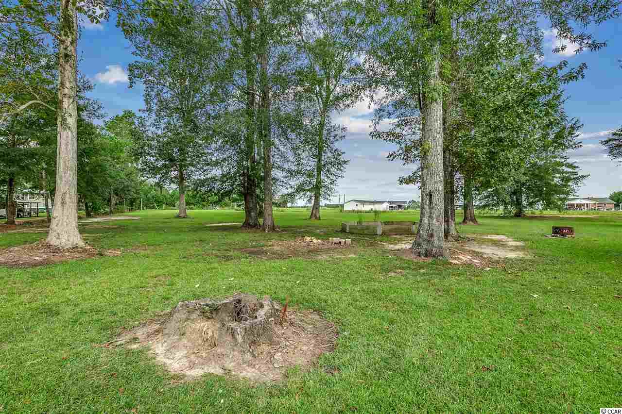6420 Charlies Road Conway, SC 29527 - Photo 29 of 32 Gallery Image 29