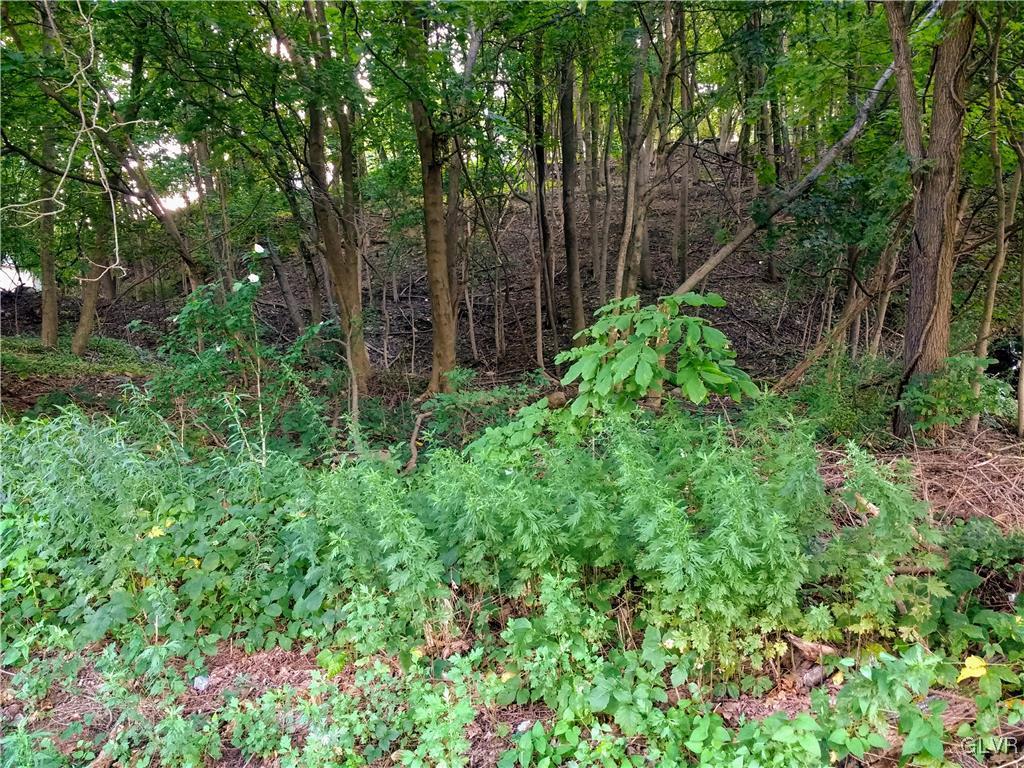 1227 4th Street Slatington, PA 18080 - Photo 1 of 2