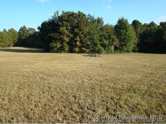541 Heritage Farm Road Carthage, NC 28327 - Photo 5 of 25 a view of yard with large trees