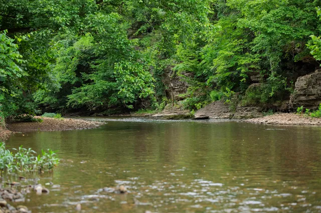 $5,000,000 | 1125 Dawson Road, White Bluff, TN 37187