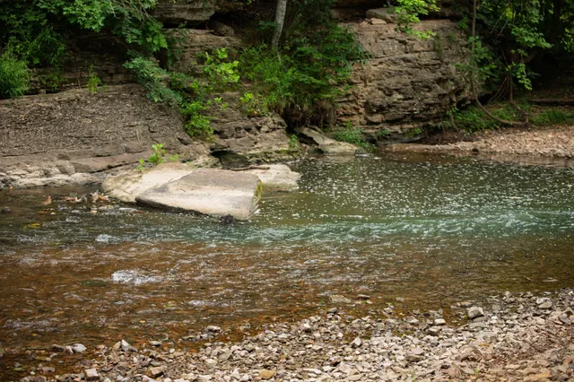 $5,000,000 | 1125 Dawson Road, White Bluff, TN 37187