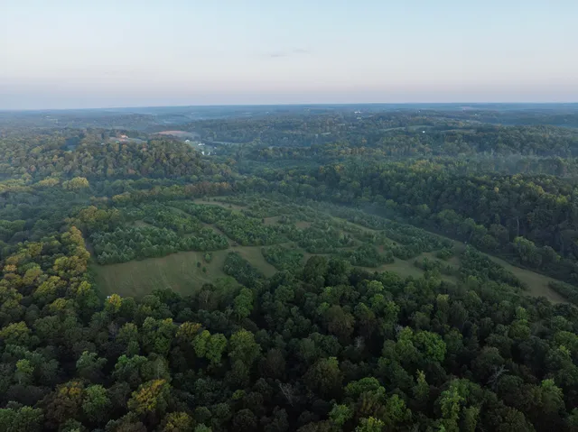 a view of a field of grass and trees