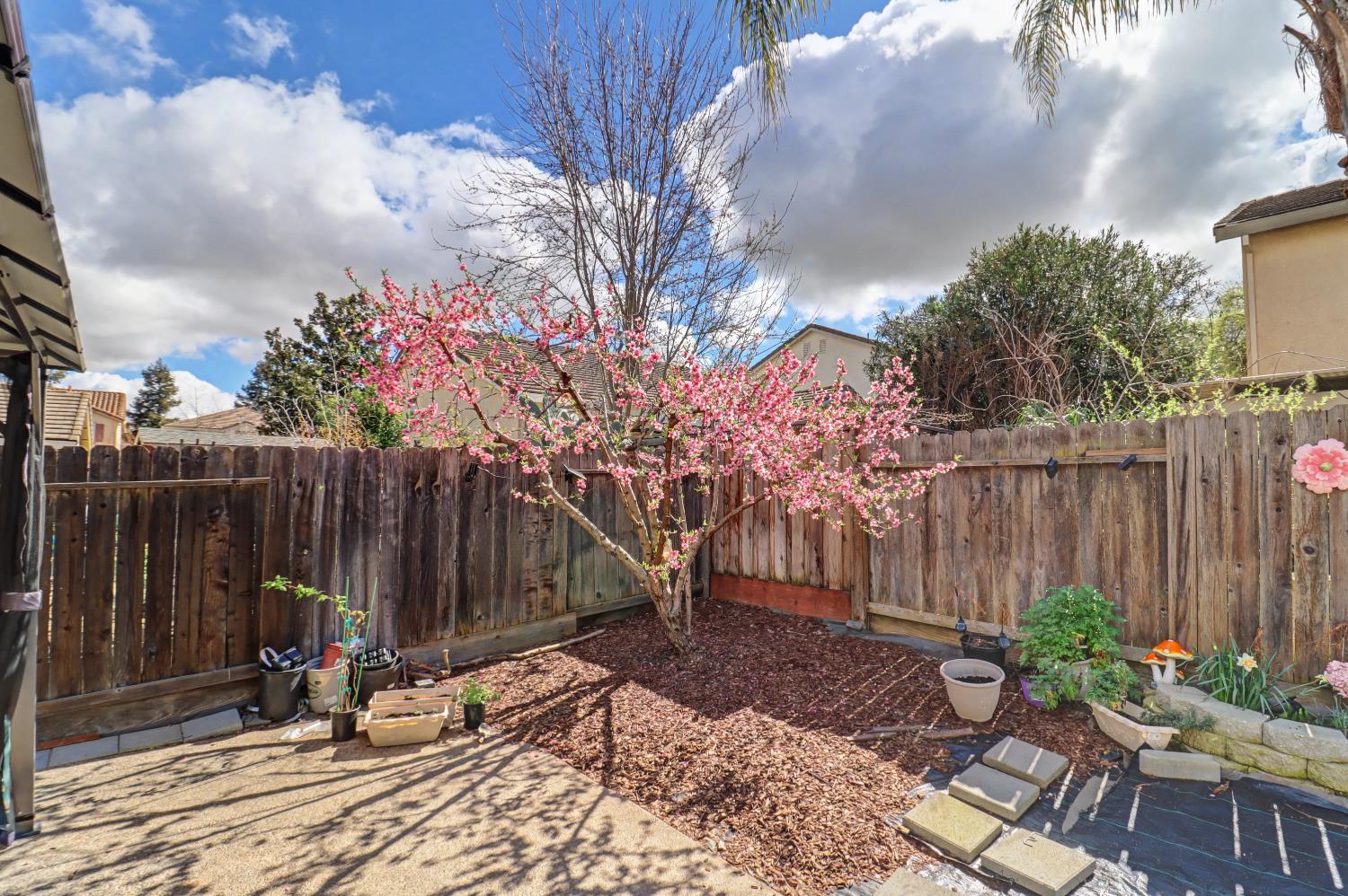 10056 Wexted Way Elk Grove, CA 95757 - Photo 36 of 39