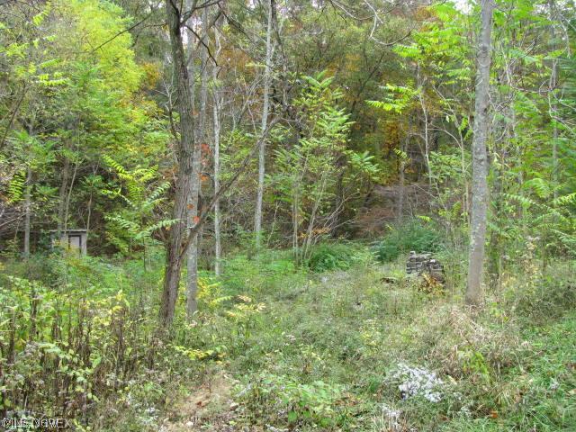 12045 Robins Road Byesville, OH 43723 - Photo 14 of 17