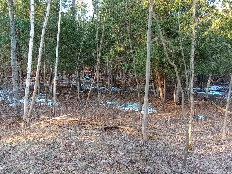 Lot 5 Castleview Gladwin, MI 48624 - Photo 8 of 9