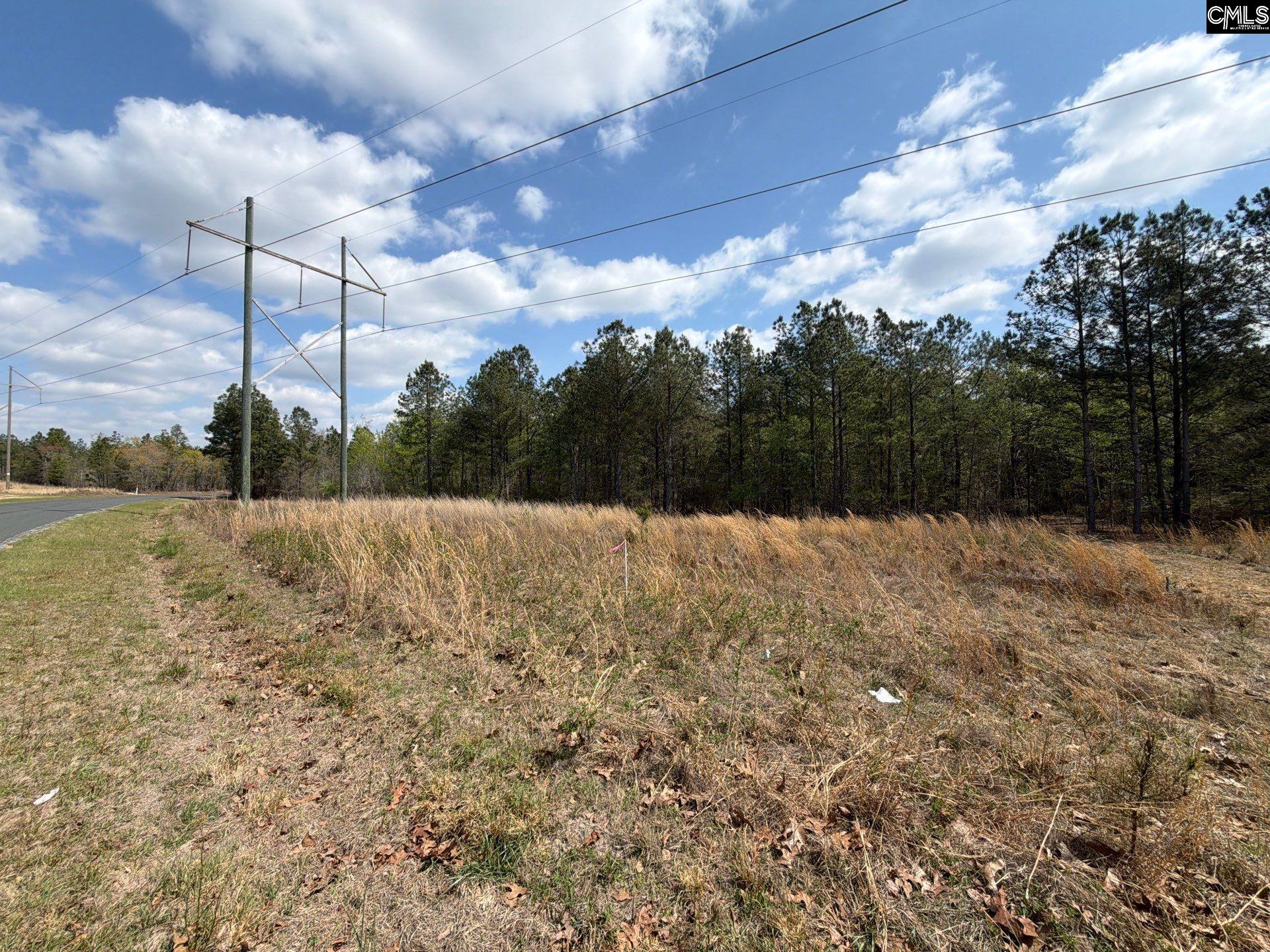 2 Mt Calvary Rd Ridge Spring, Unit CA 2 Ridge Spring, SC 29129 - Photo 3 of 29