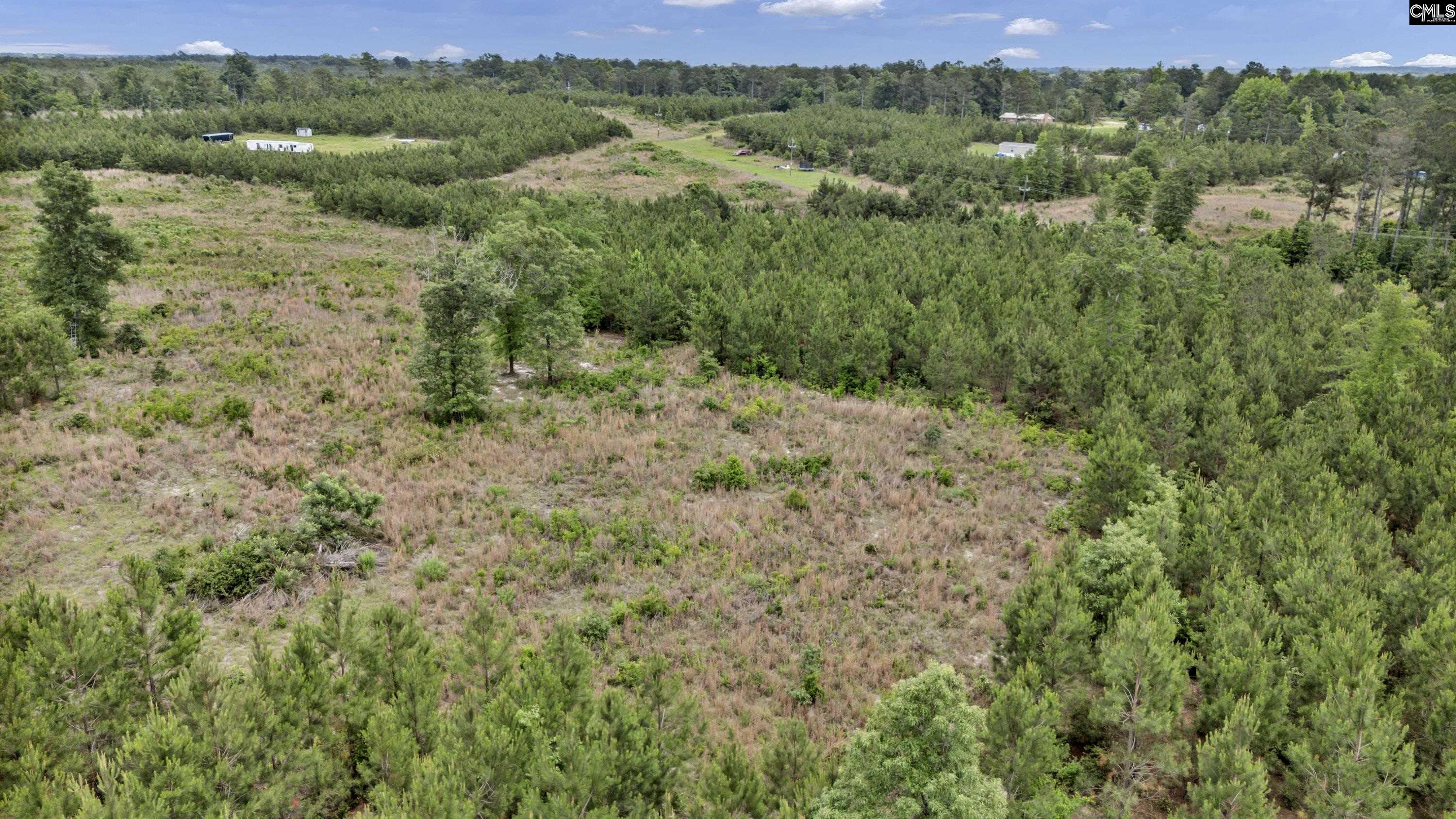 Na Bull Swamp Road North, SC 29112 - Photo 24 of 28