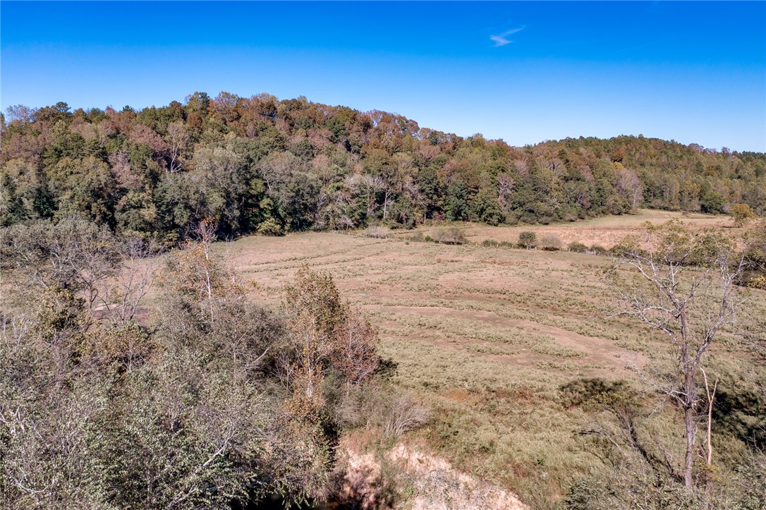 551 North Horseshoe Bridge Road Westminster, SC 29693 - Photo 20 of 22 Gallery Image 20
