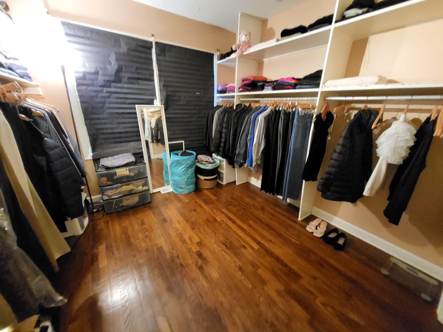 1770 Chippendale Road Hoffman Estates, IL 60169 - Photo 3 of 25 a view of walk in closet with clothes and shoes