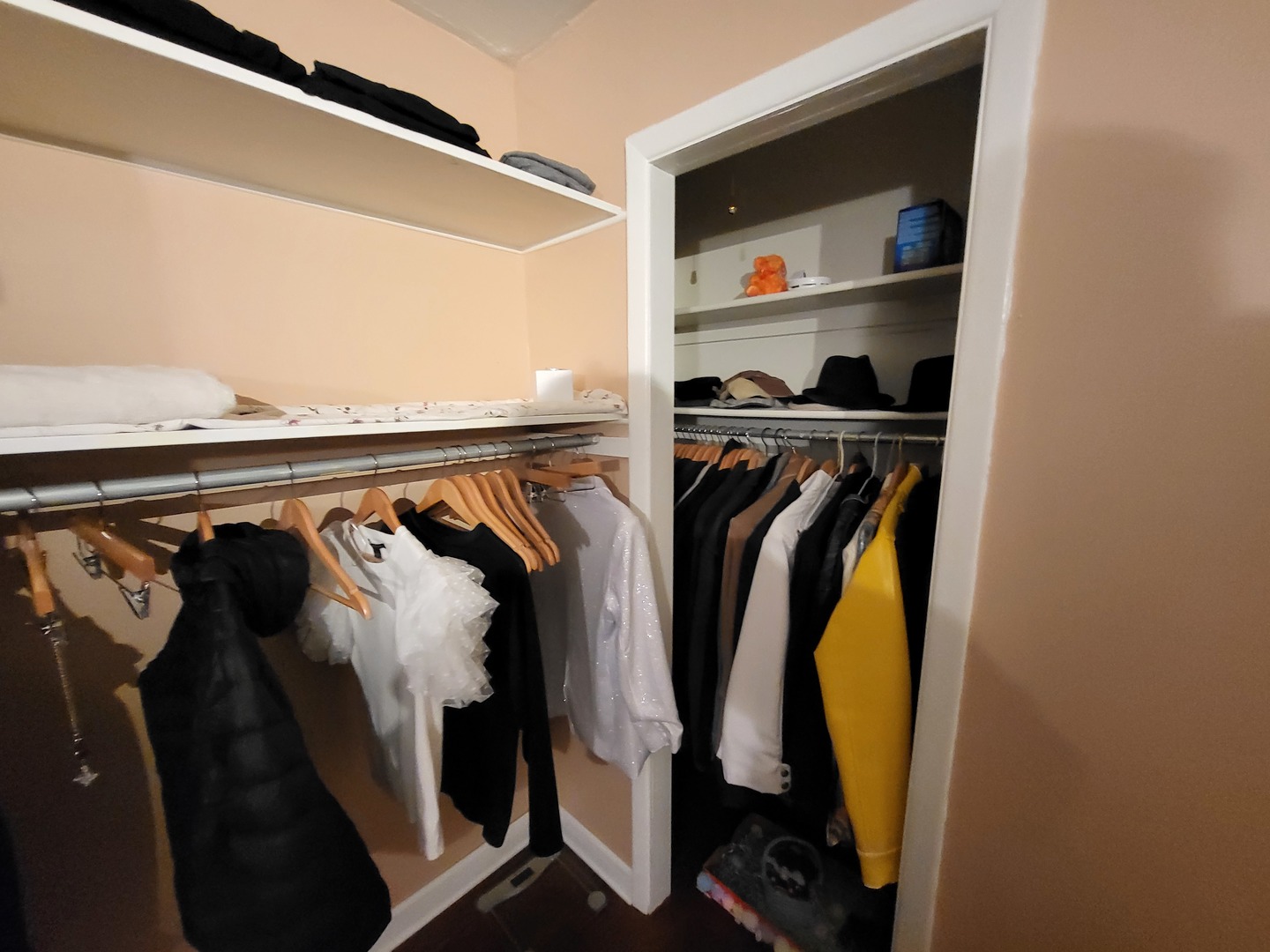 1770 Chippendale Road Hoffman Estates, IL 60169 - Photo 4 of 25 a view of walk in closet with clothes and shoes