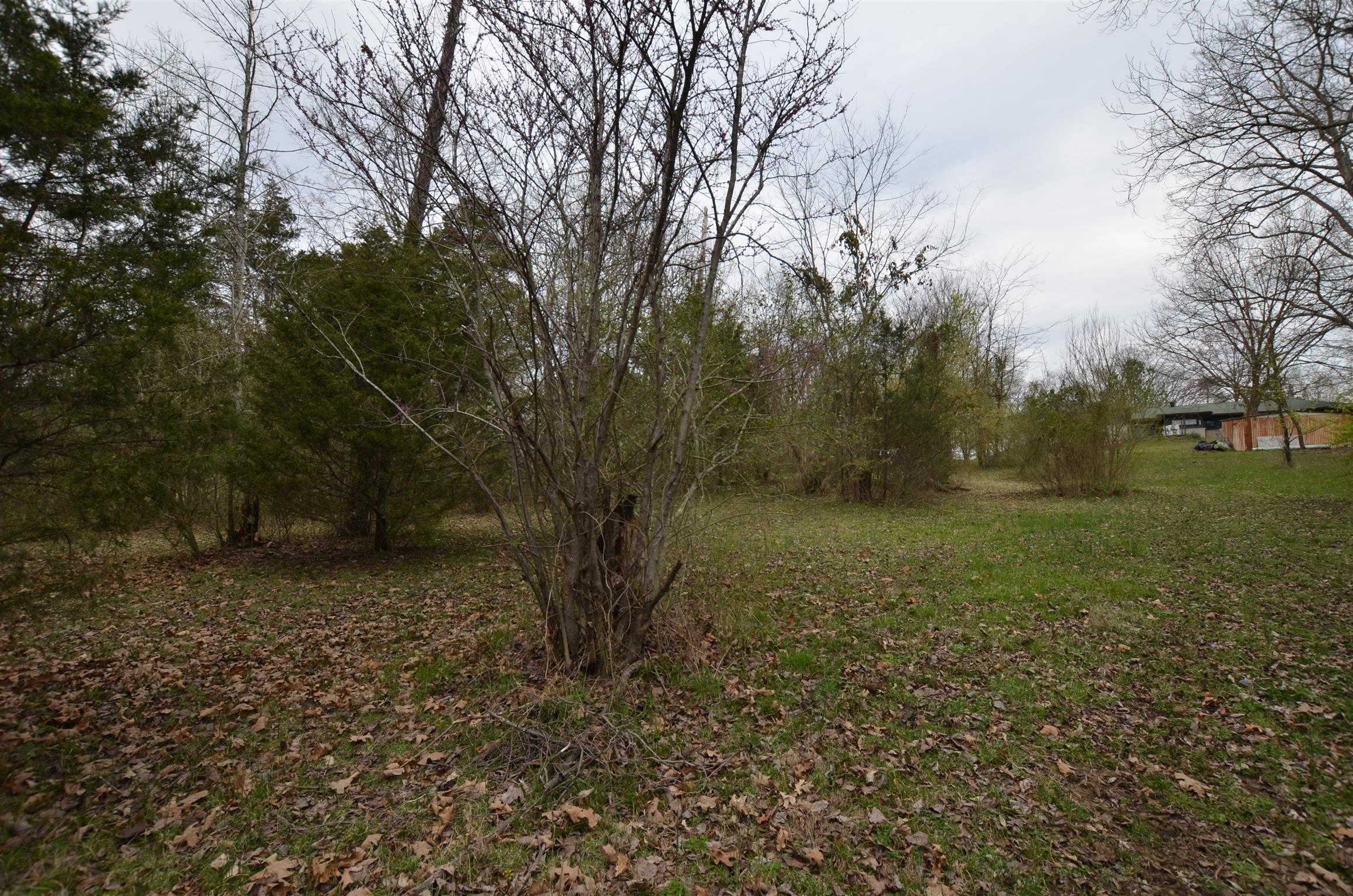 524 Logue Road Mount Juliet, TN 37122 - Photo 11 of 16 Gallery Image 11