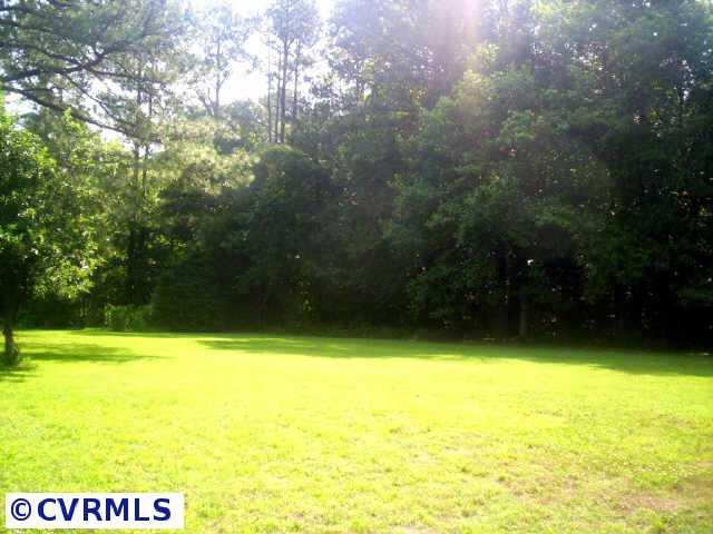 2017 Adkins Road Richmond, VA 23236 - Photo 3 of 10 Other